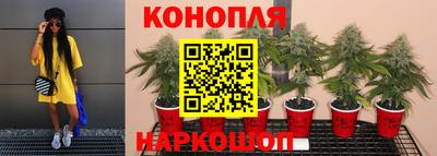 Альфа ПВП Славянск-на-Кубани