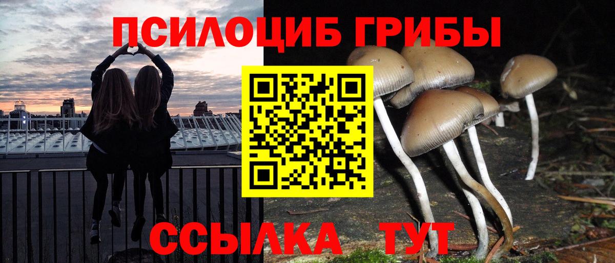 Псилоцибиновые грибы GOLDEN TEACHER  Вход с VPN  Протвино  Псилоцибиновые грибы GOLDEN TEACHER 